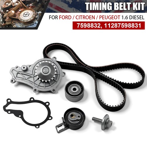 Timing belt water - timing, pump