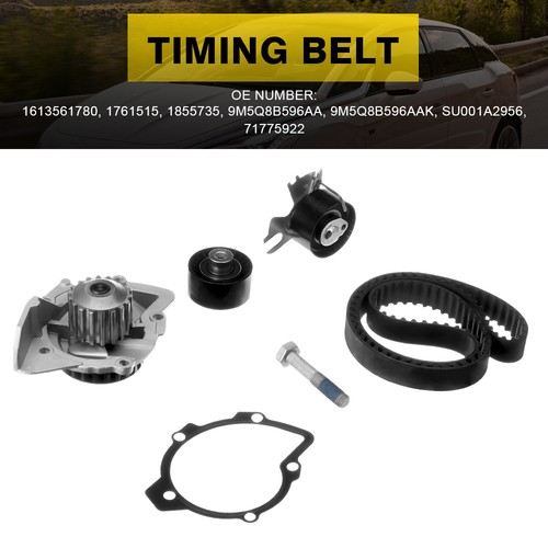 Timing belt water pump kit - belt, &