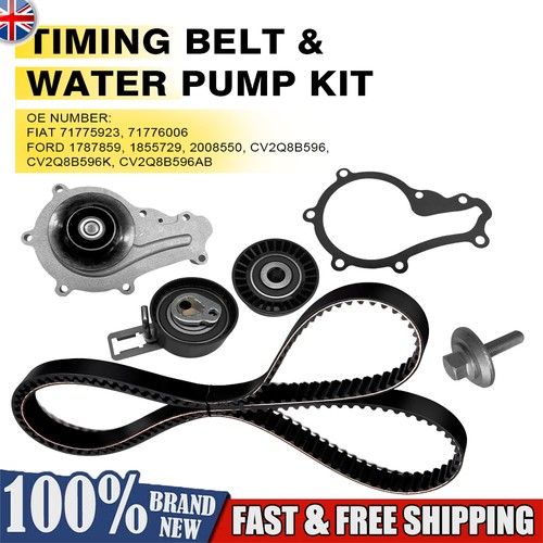 Timing belt water pump kit - belt,